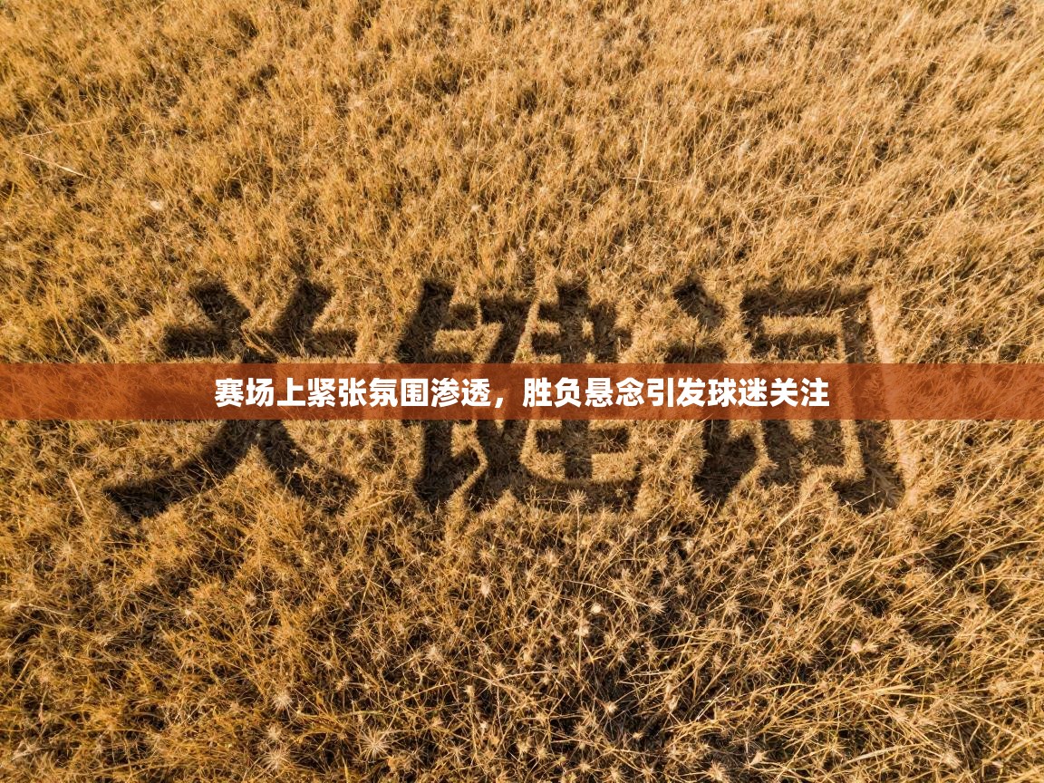 赛场上紧张氛围渗透,胜负悬念引发球迷关注 第2张