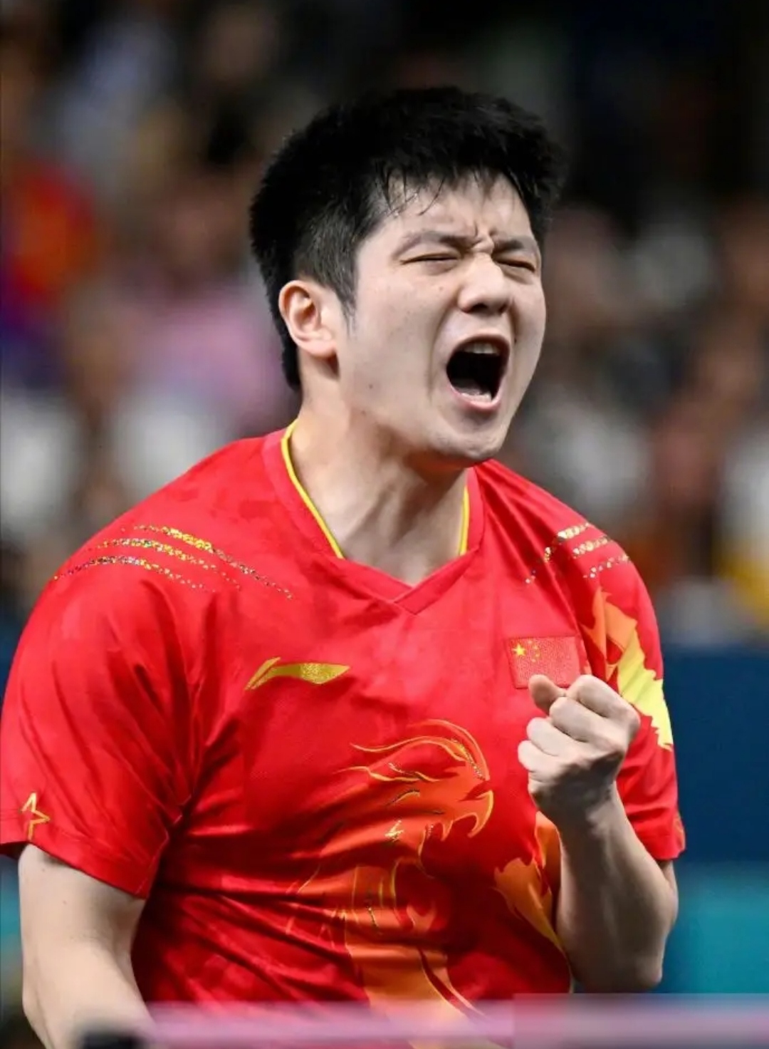 关于运动员们奋力拼搏，共赢荣誉的信息