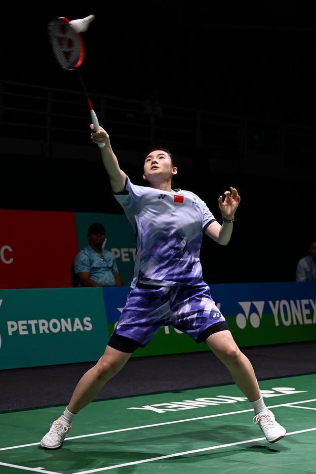 羽毛球韩选手登高峰的简单介绍