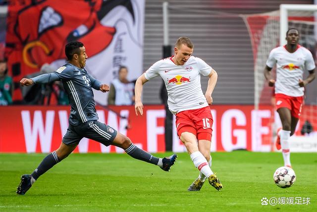 波鸿新援表现出色受球迷喜爱 波鸿新援表现出色受球迷喜爱